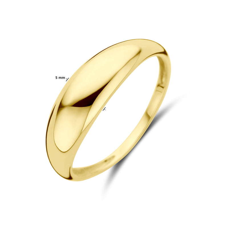 vDam 14k Geelgouden Ring 4031053