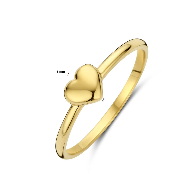 vDam 14k Geelgouden Hart Ring 4031620