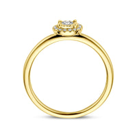 vDam 14k Geelgouden Ring met Diamant 4209003