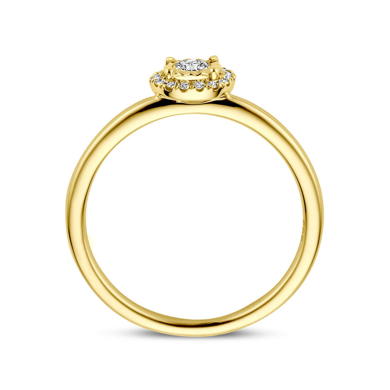 vDam 14k Geelgouden Ring met Diamant 4209003