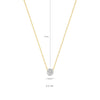 Blush Ketting 14kt Goud 3077BZI