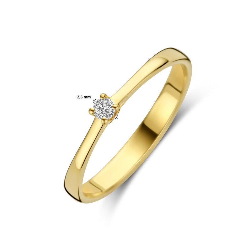 vDam 14k Geelgouden Ring met Diamant 4031790