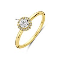 vDam 14k Geelgouden Ring met Diamant 4209003