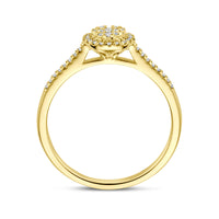 vDam 14k Geelgouden Ring met Diamanten 4032024