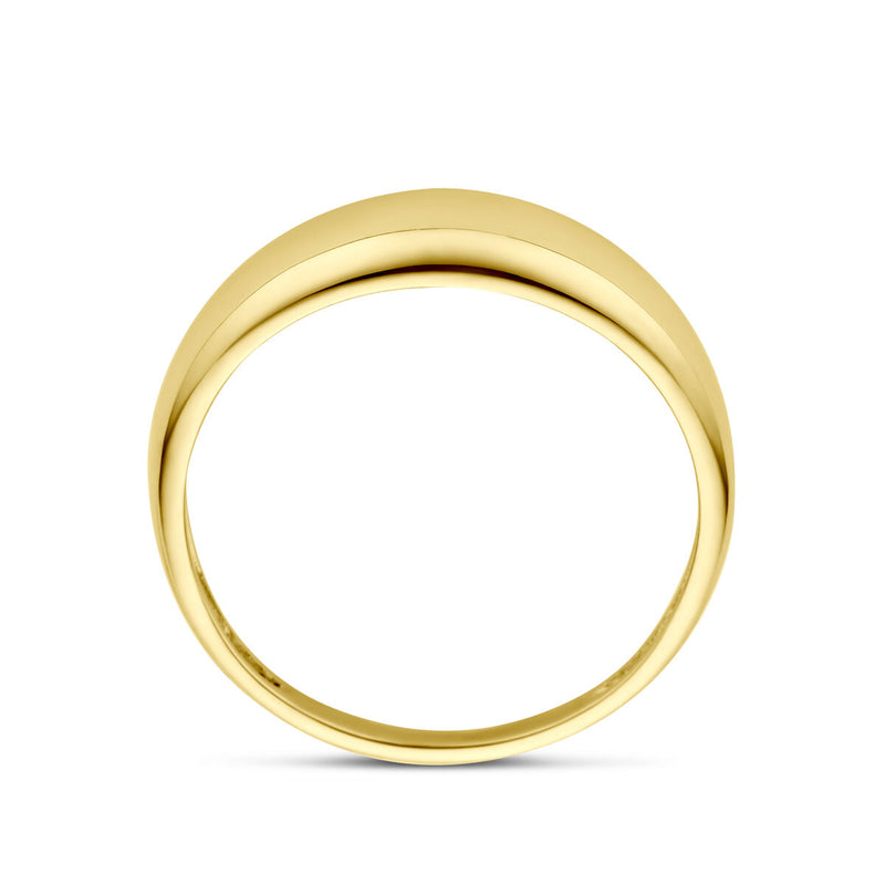 vDam 14k Geelgouden Ring 4031053