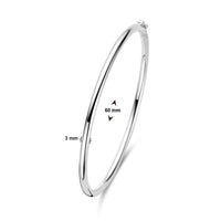 vDam Zilveren Bangle 1328174