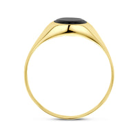 vDam 14k Geelgouden Ring met Onyx 4030865