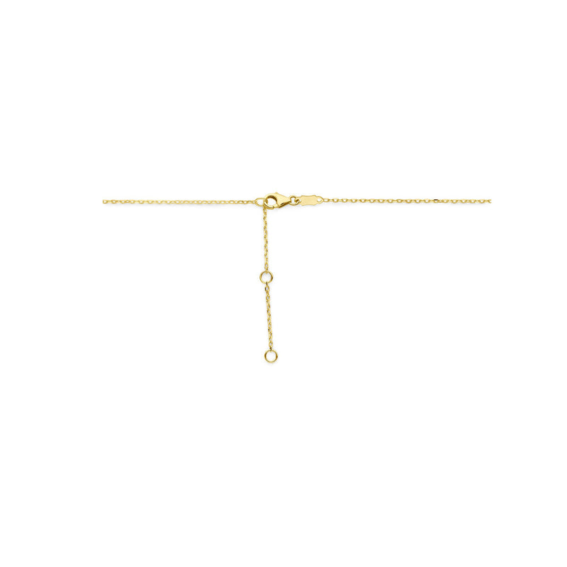 vDam 14k Geelgouden Graveer Collier 4030763