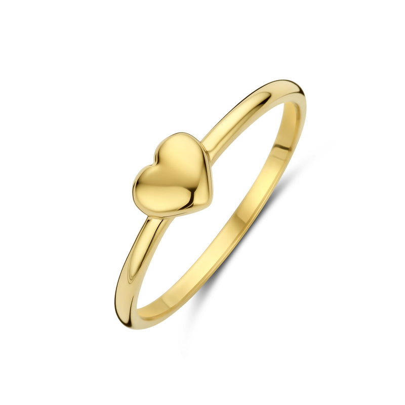 vDam 14k Geelgouden Hart Ring 4031620