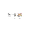 vDam Silver Children's Earrings 1341282