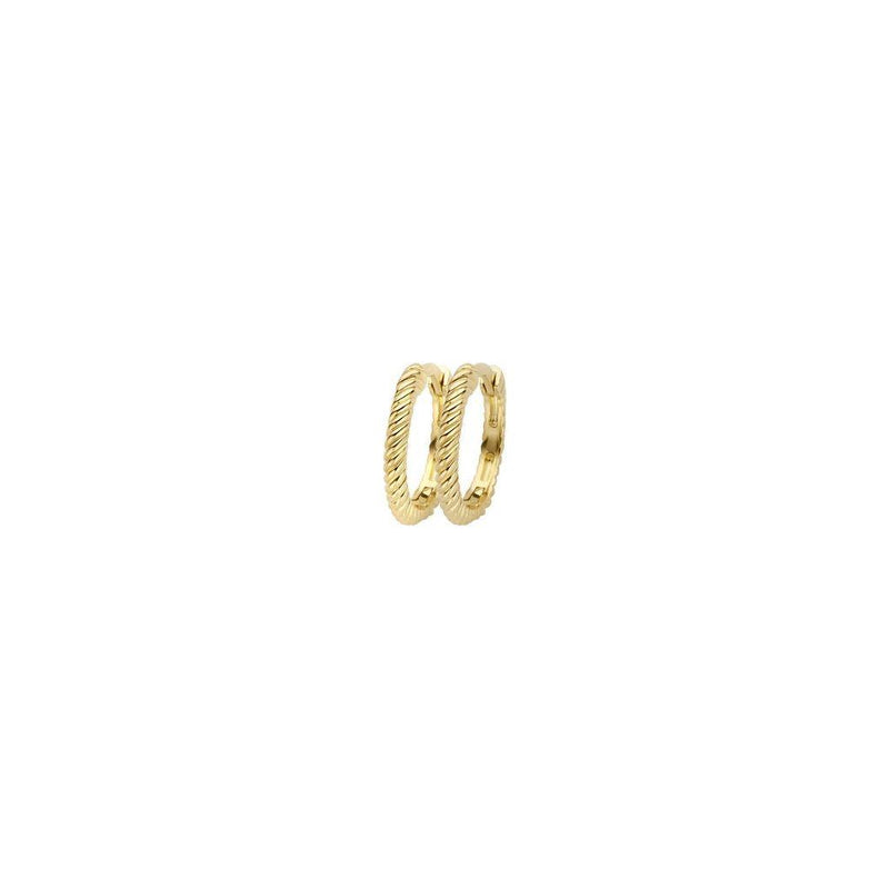 Blush oorsieraden goud 7266YGO