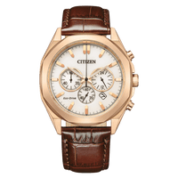 Citizen Eco-Drive CA4593-15A