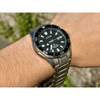 Citizen Promaster Marine BN0200-81E