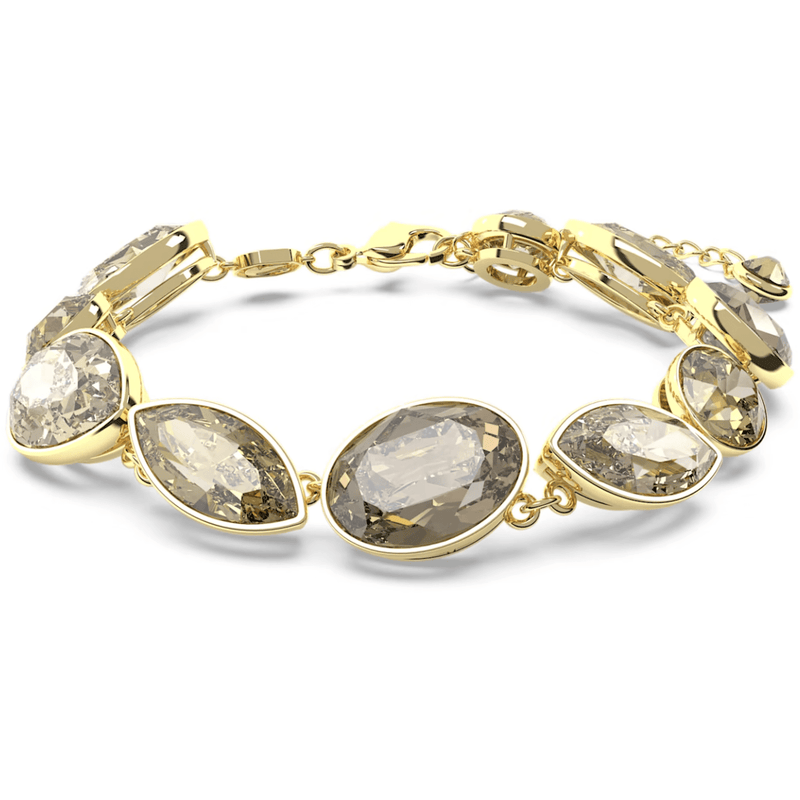 Swarovski Elegance of Africa Armband 5664794