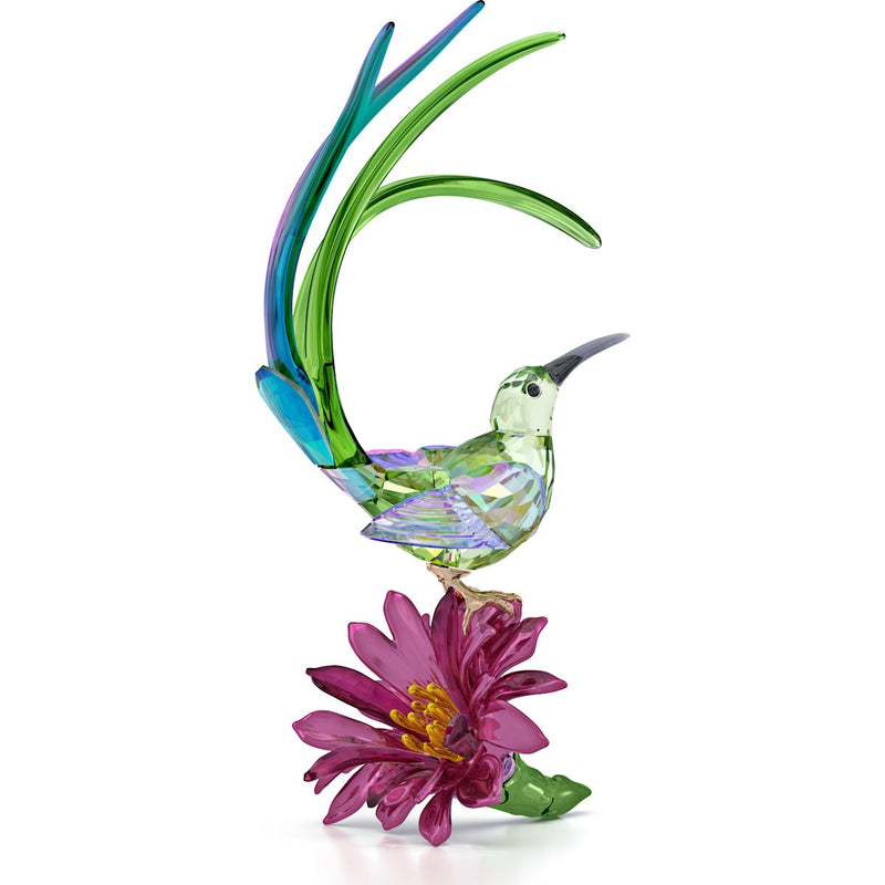 Swarovski Idyllia Suikervogel en Cactusbloem 5675166