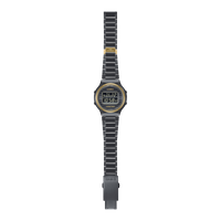 Casio Vintage 50th Anniversary TRN-50ZE-1AER