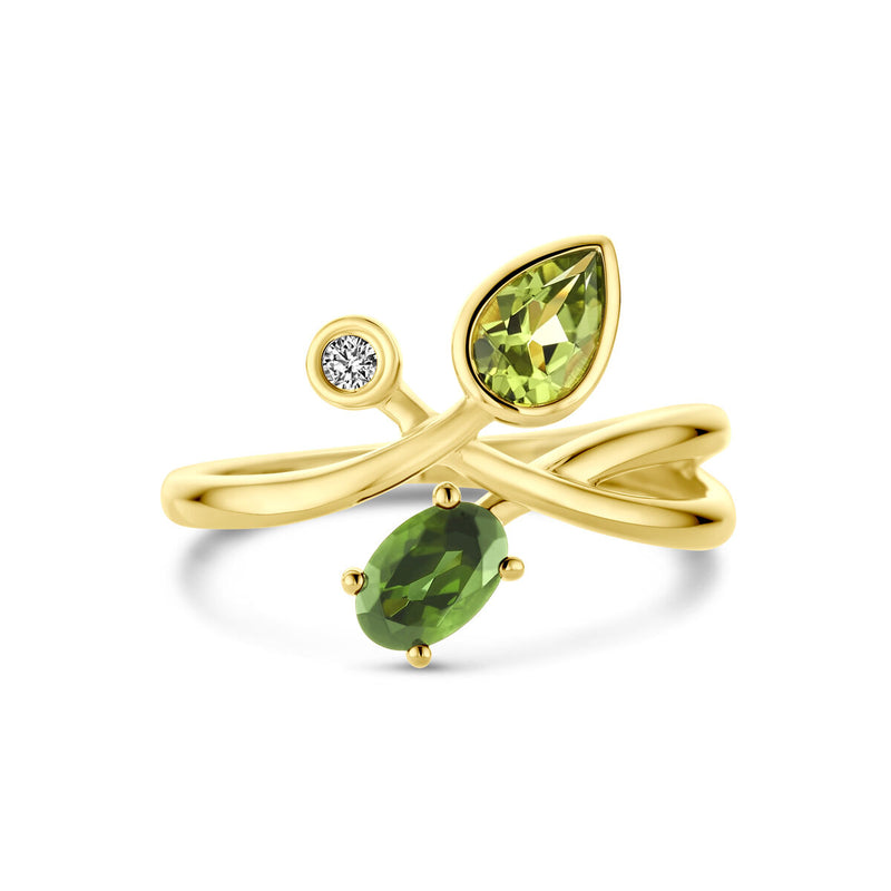 vDam 14k Geelgouden Ring met Groene Toermalijn, Peridot en Diamant 4031413