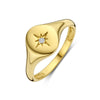 vDam 14k Geelgouden Ring met Zirkonia 4031556