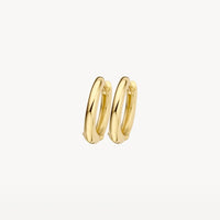 Blush oorsieraden goud 7217YGO