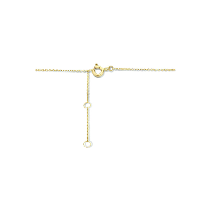 vDam 14k Geelgouden Hartjes Collier 4023831