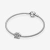 Pandora Bedel Pootafdruk 791714CZ