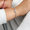 Pandora Pet Dog & Bone Bedel 792254C01