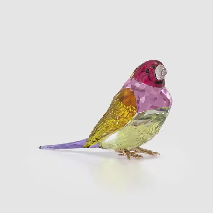 Swarovski Idyllia Gouldian Finch 5689265