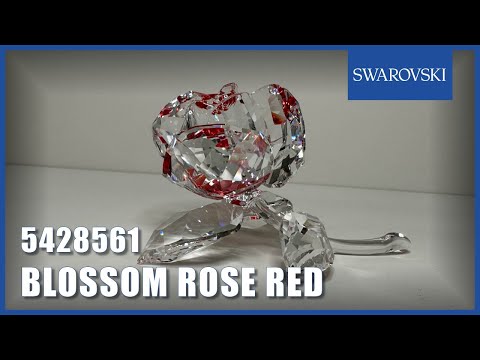 Swarovski In the Secret Garden Roos 5428561